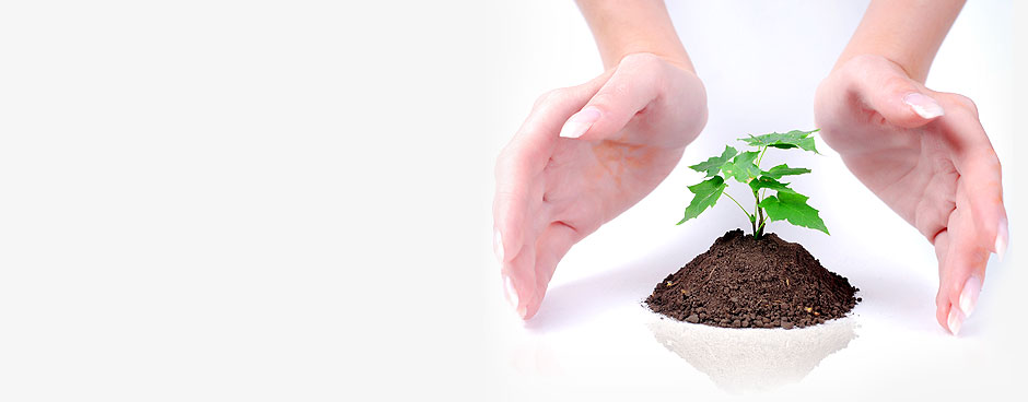 Lorem ipsum dolor sit amet, consectetur.